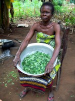 /album/galerie-photos/a09-01-01-1-jpg/