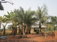 /album/galerie-photos/img-6239-jpg/