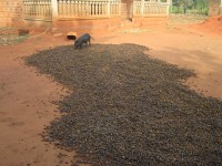 /album/galerie-photos/img-6240-jpg/